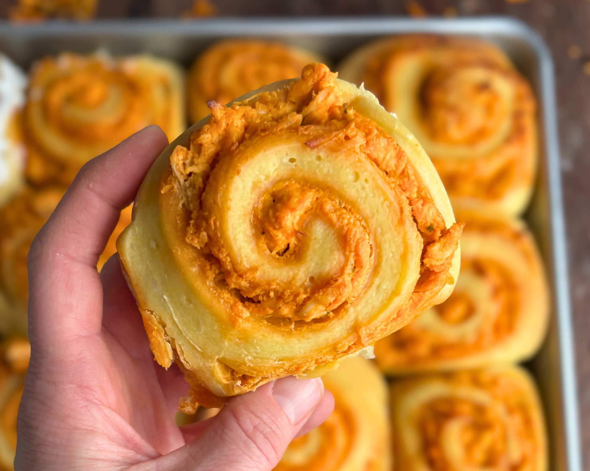 Buffalo Chicken Dip Rolls