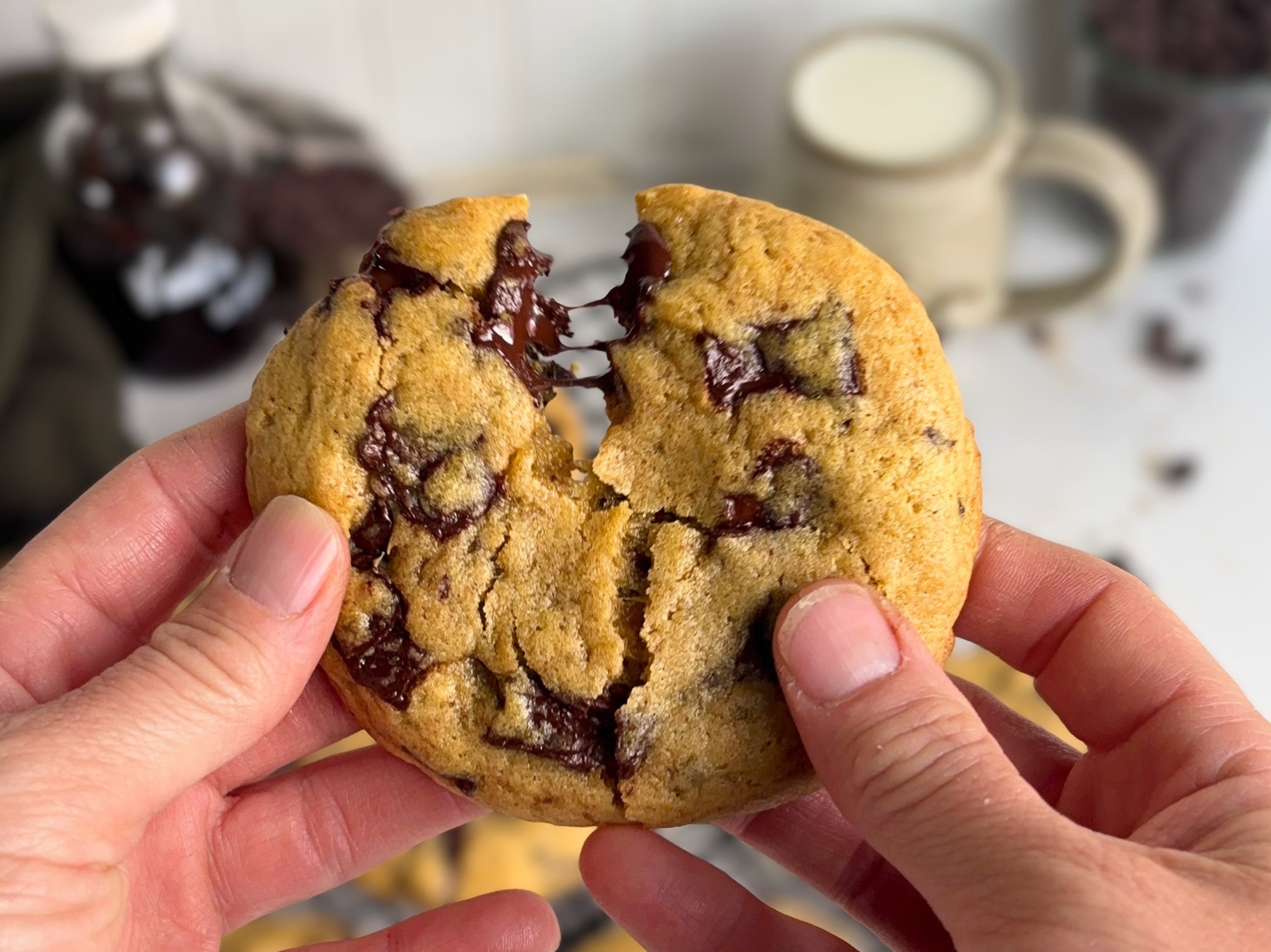 No Mixer Sourdough Chocolate Chip Cookies