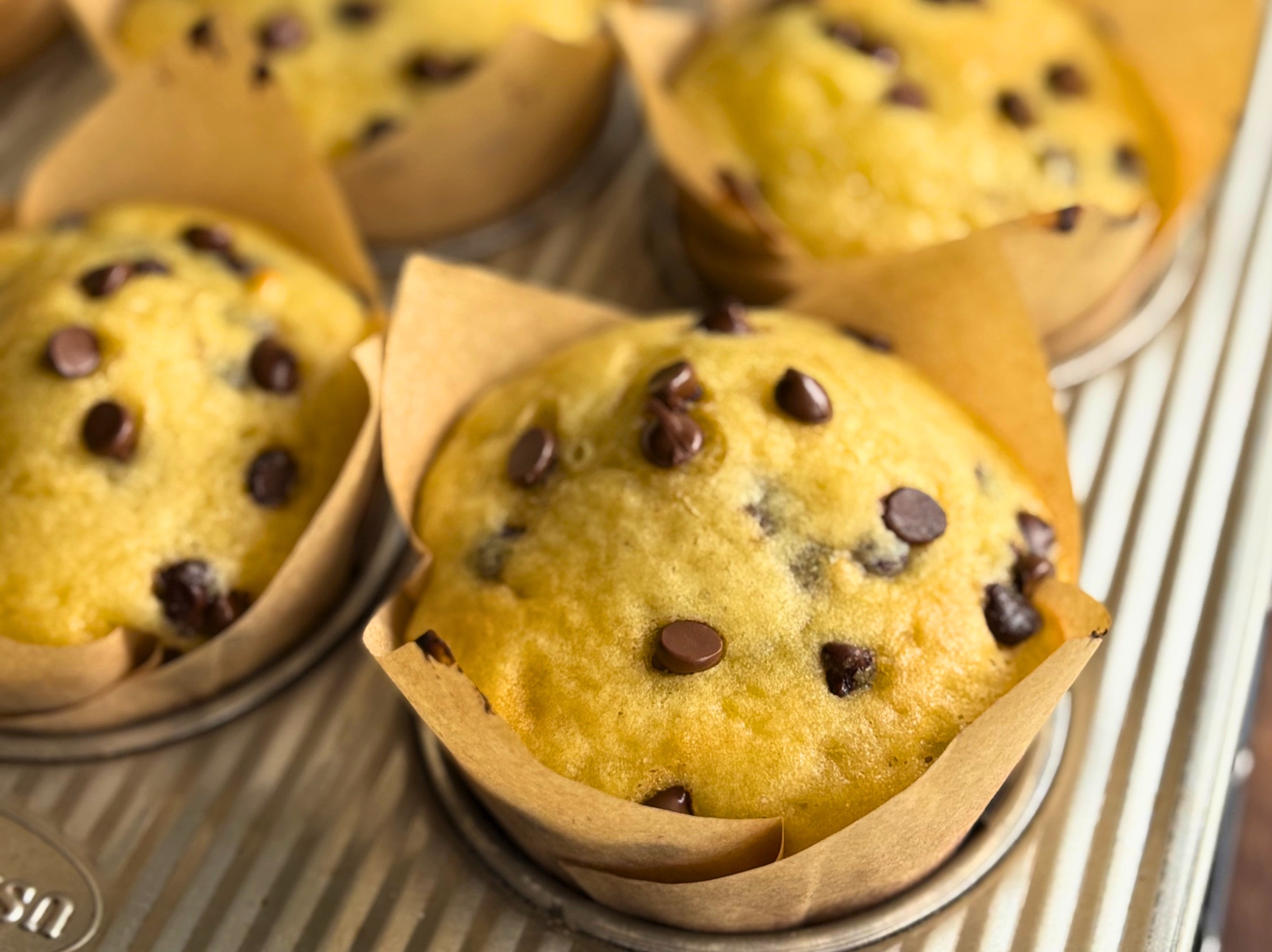 High Protein Greek Yogurt Chocolate Chip Muffins
