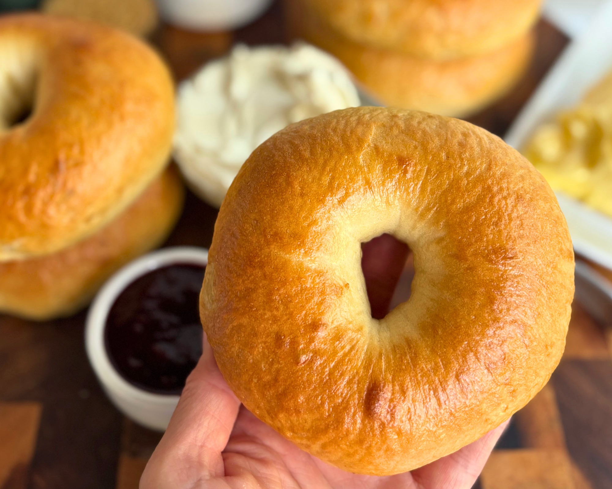 High Protein Bagels (Cottage Cheese or Greek Yogurt, 19 Grams of Protein)