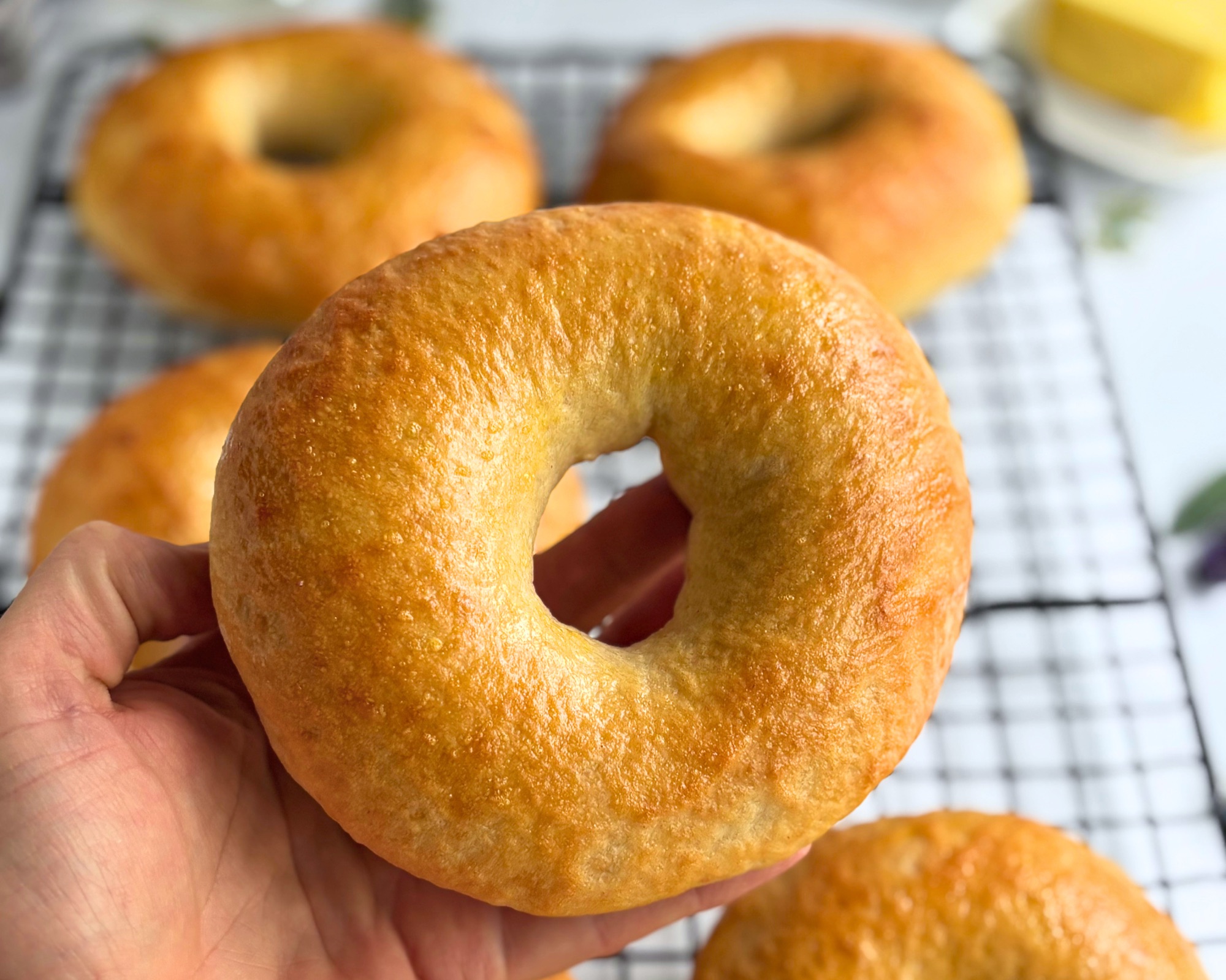 High Protein Sourdough Bagels (19.5 Grams of Protein)